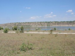 Продам земельный участок 0,08га на берегу Днестра, с.Вороновица 6 000 $