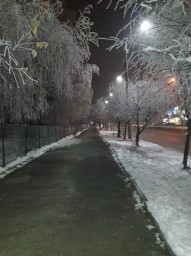 Забудовник викупить земельну ділянку в місті  чи пригороді Чернівців  .Дорого!